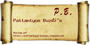 Pattantyus Buzás névjegykártya
